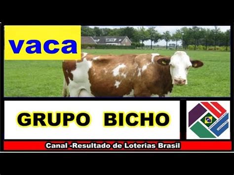 jogo do bicho vaca puxa o quê